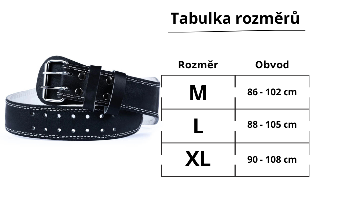 Text odstavce_1